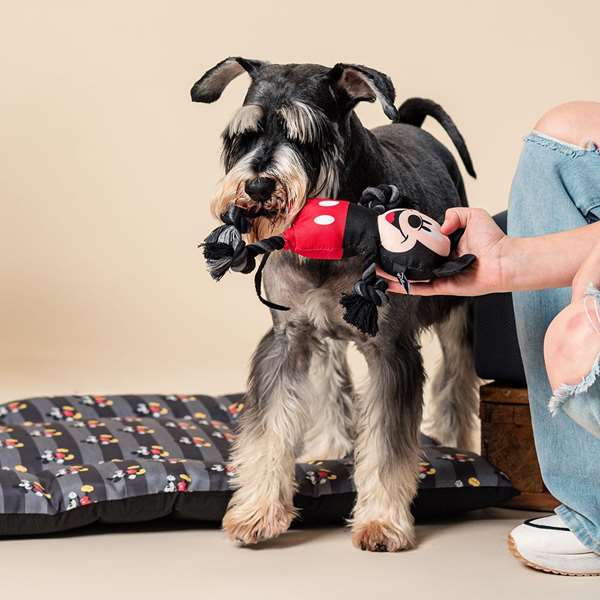 Cerdá Mickey Corde dentaire pour chien, jouet à mâcher en forme de corde - Noir - 15 x 6 x 28 cm
