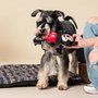 Cerdá Mickey Corde dentaire pour chien, jouet à mâcher en forme de corde - Noir - 15 x 6 x 28 cm