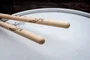 Vic Firth Signature Series Jen Ledger SLED
