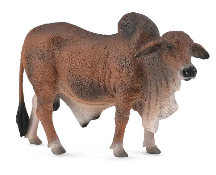 Collecta Figurine Brahman rouge - Toro à l'échelle L Réplique détaillée peinte à la main - Multilingue (anglais, français, allemand, espagnol) - Âge recommandé : +3 ans Collecta Figurine Brahman rouge - Toro à l'échelle L Réplique détaillée peinte à la main - Multilingue (anglais, français, allemand, espagnol) - Âge recommandé : +3 ans