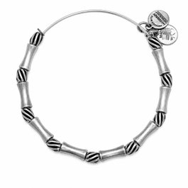Alex And Ani Bracelet Constellation Gris 20cm