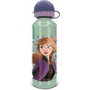 Stor Bouteille d'eau Frozen Snowy Tale Aluminium 530 ml