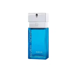 Jacques Bogart Silver Scent Eau de Parfum pour Homme - Flacon 100 ml