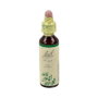 Bach Original Holly/Acebo Nº15 20ml