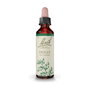 Bach Original Holly/Acebo Nº15 20ml