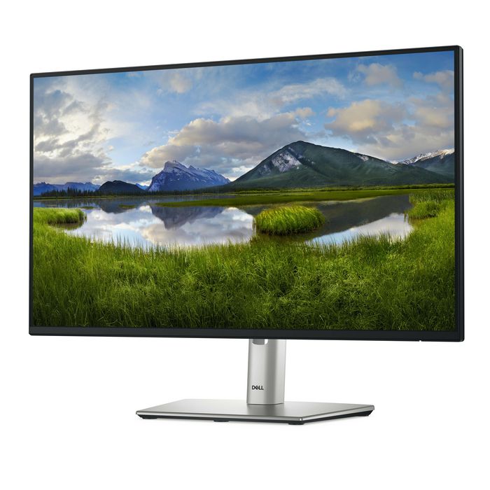 Dell P Series P2425HE, écran plat de 61 cm (24'') 1920 x 1080 Full HD LCD Noir