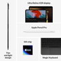 Apple iPad Pro 11 (2024) - WiFi - 256 Go - Noir sidéral
