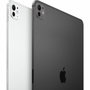 Apple iPad Pro 11 (2024) - WiFi - 256 Go - Noir sidéral