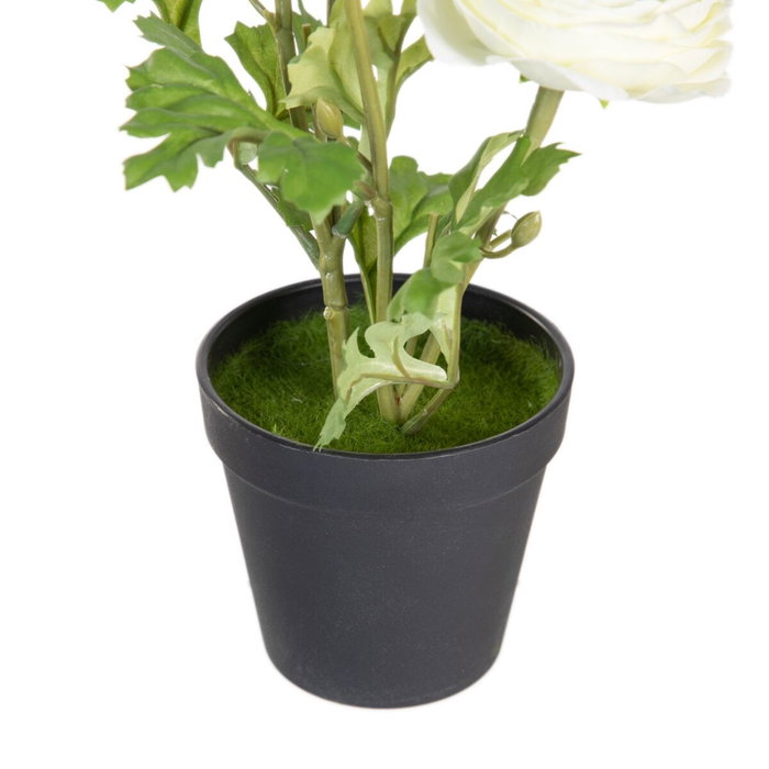 BigBuy Home Plante décorative Fleur 11 x 11 x 36 cm BigBuy Home Plante décorative Fleur 11 x 11 x 36 cm