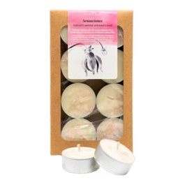 CANVELA Coffret Cadeau de 8 Bougies de Thé Parfumées Sensations