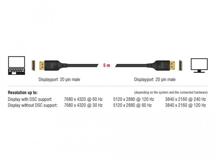 Delock - Câble DisplayPort 1.4 (28 AWG, 32.4 Gb/s) - Support 8K, HDCP 2.2, Audio haute qualité - Longueur 5 mètres