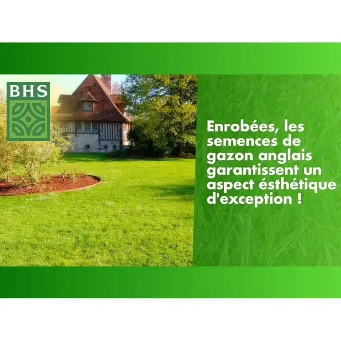 BHS Gazon Anglais Semences GDP1 10 kg - Pour Jardins Haut de Gamme, Couleur Persistante, Feuillage Fin et Dense