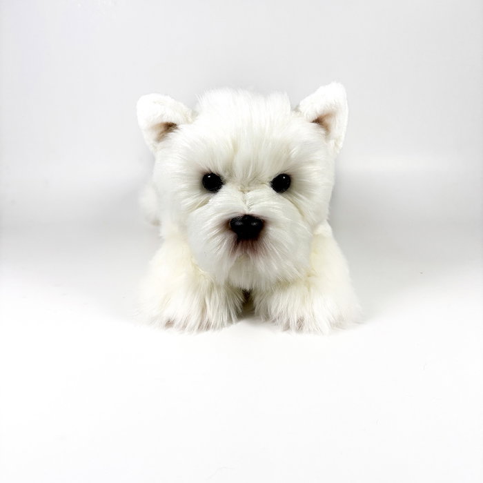 Deqube Peluche Terrier Blanc Couché 25cm Licence Bocalan +0 Mois Deqube Peluche Terrier Blanc Couché 25cm Licence Bocalan +0 Mois
