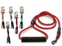 Mascow Laisse pour Chien 1,2 m Multicolore 33x3x6 cm (Set de 24)