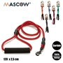 Mascow Laisse pour Chien 1,2 m Multicolore 33x3x6 cm (Set de 24)