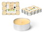 ACORDE Lot de 24 bougies chauffe-plat parfum vanille 4 h – 15 x 3 x 11 cm (Set de 24)