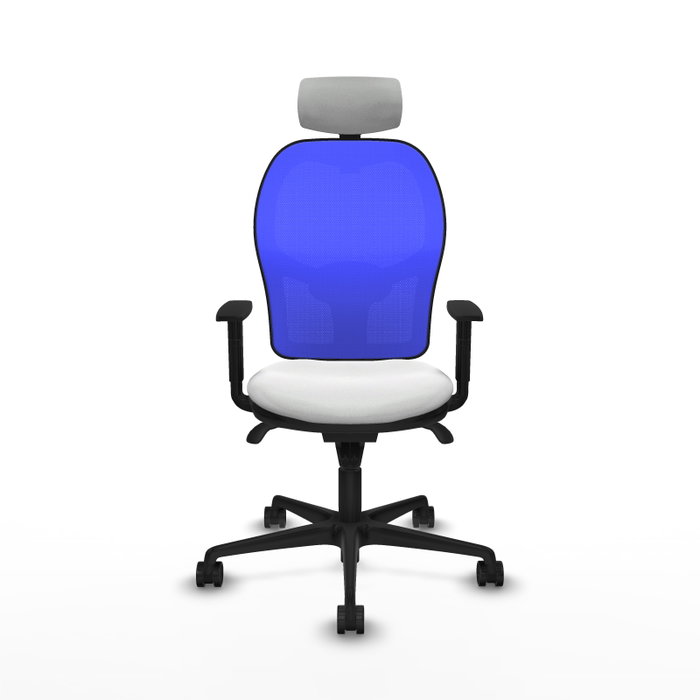 Piqueras y Crespo Chaise de Bureau 1D036N2 Blanc et Bleu