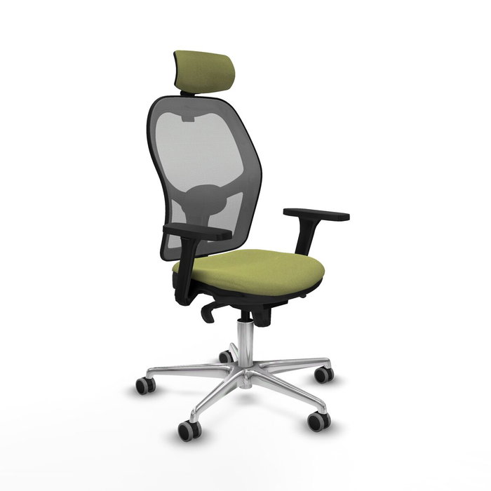 Piqueras y Crespo 3D086G2 Chaise de Bureau avec Appui-tête Vert Piqueras y Crespo 3D086G2 Chaise de Bureau avec Appui-tête Vert