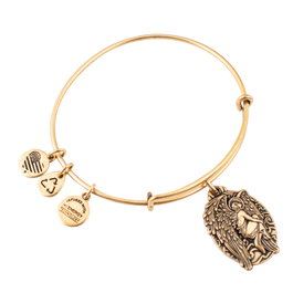 Alex And Ani Bracelet en métal doré ajustable