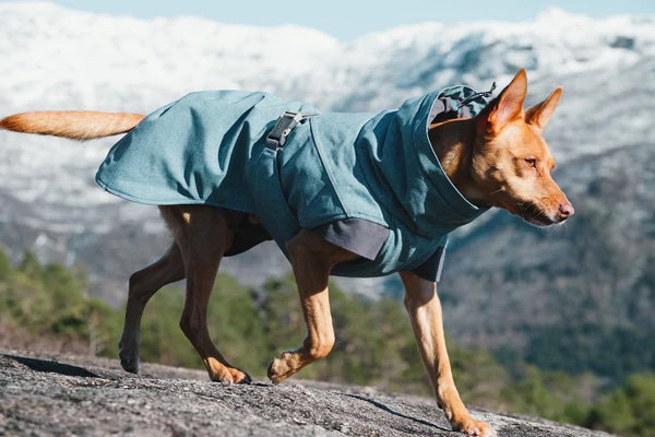 Hurtta Parka Expedition Bleu T.80