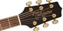 Takamine GD51-NAT