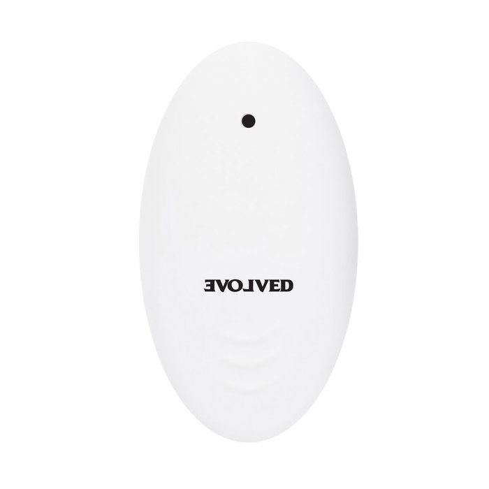 Vibromasseur anal Evolved