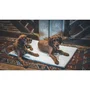AIME - Couchage pour chien - Tapis plat rembourré - Taille L 80x60x3 cm - Double face et lavable