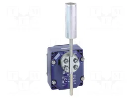 TELEMECANIQUE SENSORS Interrupteur terminal NC x2 + NO x2 IP54 en métal