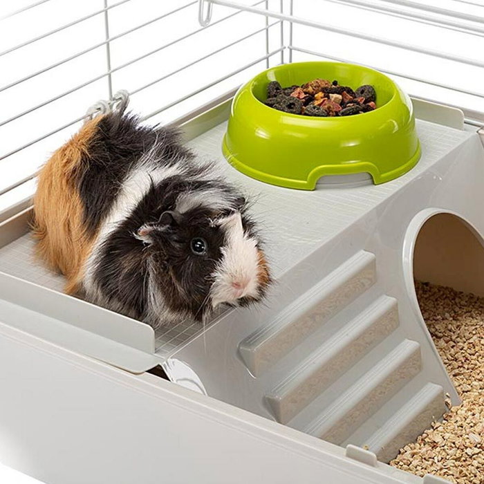 Ferplast Cage Cavie avec maisonnette, gamelle et abreuvoir