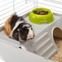 Ferplast Cage Cavie avec maisonnette, gamelle et abreuvoir
