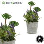 Ibergarden Plante Artificielle Fleurs Pot Ciment Gris 11x25x10 cm (Set de 12)