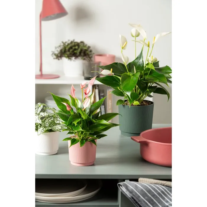 GARDEN ID Cache-pot rond Lino 7L Vert foncé - Ø25 cm, H 22 cm