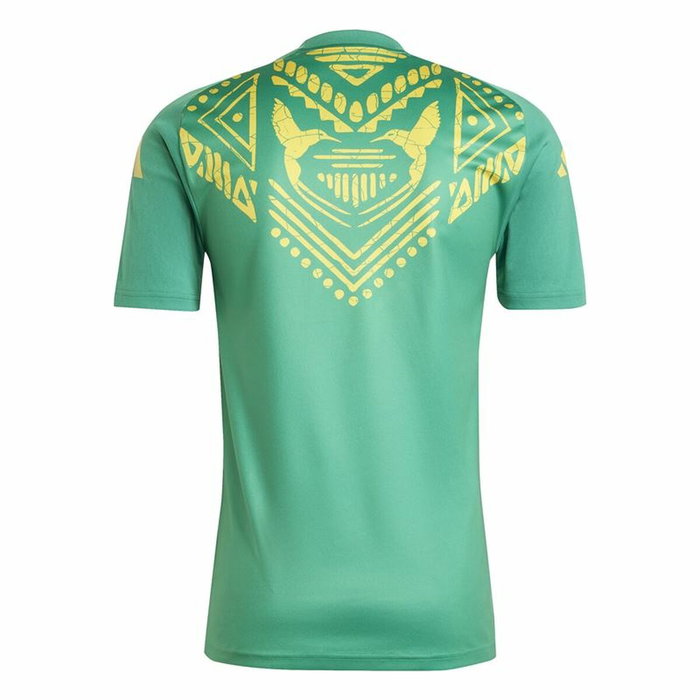 T-shirt de foot Adidas Jamaica 2024 Pre Match Vert