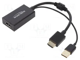 DELOCK Adaptateur DisplayPort socle vers HDMI prise et USB A prise, 0,24m