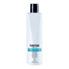 Light Irridiance Champú Anticaspa Effective Care 300ml