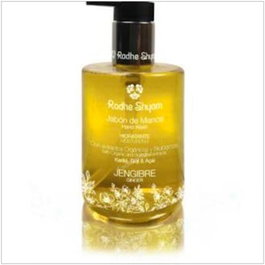 RADHE SHYAM Savon pour les mains au Gingembre avec doseur 300ml