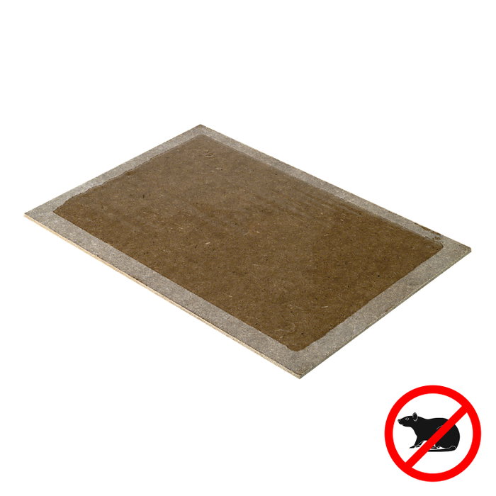 PAPILLON Lot de 2 pièges adhésifs pour rats et souris 19x28 cm PAPILLON Lot de 2 pièges adhésifs pour rats et souris 19x28 cm