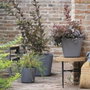 Deroma Pot de fleurs carré Origin - 28 x 23,5 cm - 12 L - Gris