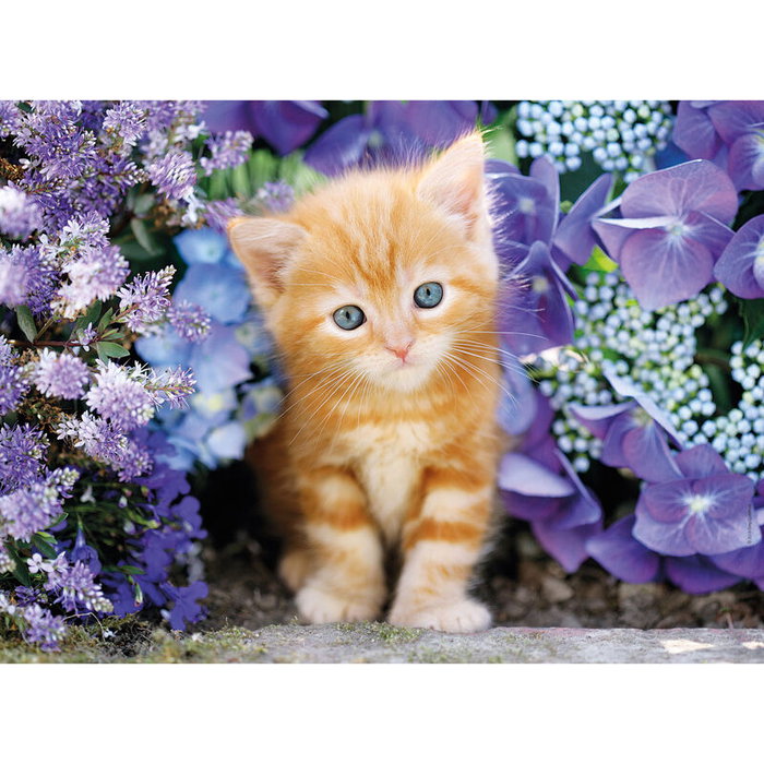 Clementoni Puzzle Chat roux dans les fleurs, 500 pièces Clementoni Puzzle Chat roux dans les fleurs, 500 pièces
