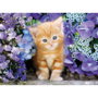 Clementoni Puzzle Chat roux dans les fleurs, 500 pièces