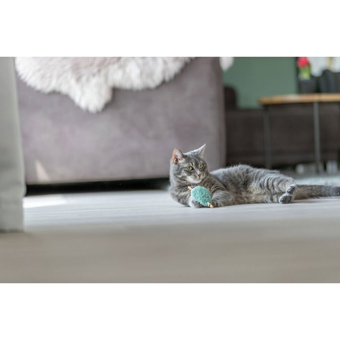 Jouet pour chats Trixie Coeur