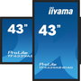 iiyama Écran Tactile PCAP 43" (107 cm) 4K UHD 3840x2160, Anti-reflets, Bezel Free, 40 Points Tactile, Android 11, Panneau IPS, 4 Go RAM, 32 Go Stockage, 2x HDMI, DisplayPort, VESA