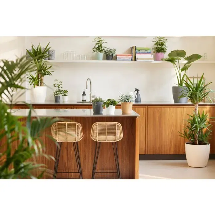 Elho Brussels Lot de 2 pots de fleurs ronds intérieurs étanches - 17 L - Ø 25,1 x H 23,2 cm - Noir