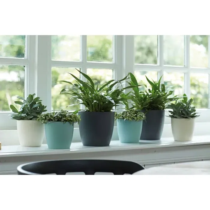 Elho Brussels Lot de 2 pots de fleurs ronds intérieurs étanches - 17 L - Ø 25,1 x H 23,2 cm - Noir