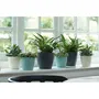 Elho Brussels Lot de 2 pots de fleurs ronds intérieurs étanches - 17 L - Ø 25,1 x H 23,2 cm - Noir