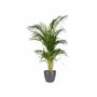 Elho Lot de 2 pots de fleurs Brussels Rond Noir - 17 L