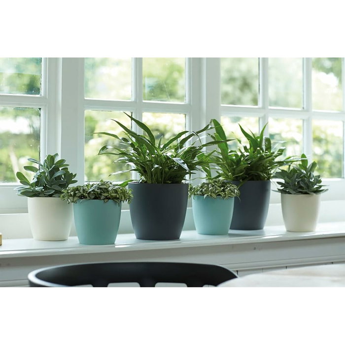 Elho Lot de 2 pots de fleurs Brussels Rond Noir - 17 L