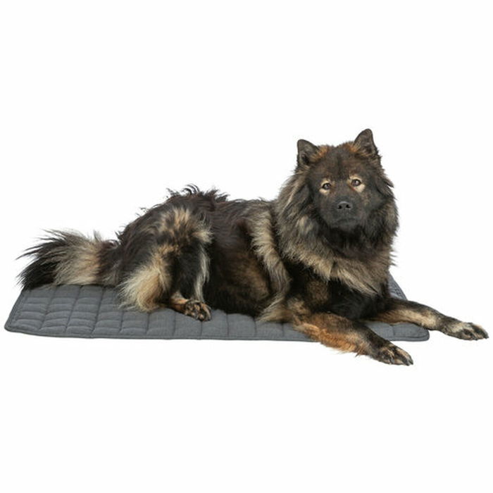 Matelas Trixie Gris foncé 80 × 60 cm Chien