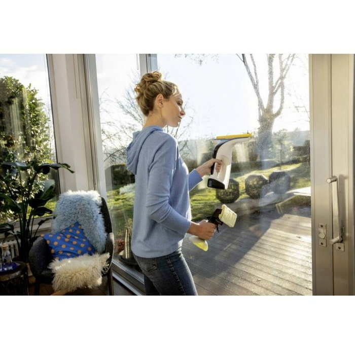 Kärcher Nettoyant à vitres 1.633-542.0