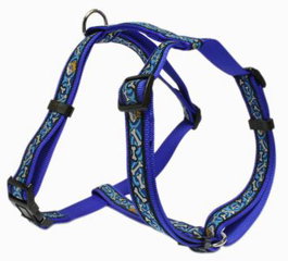 Sandimas Collier Ajustable en Nylon Bleu 20x400-500mm